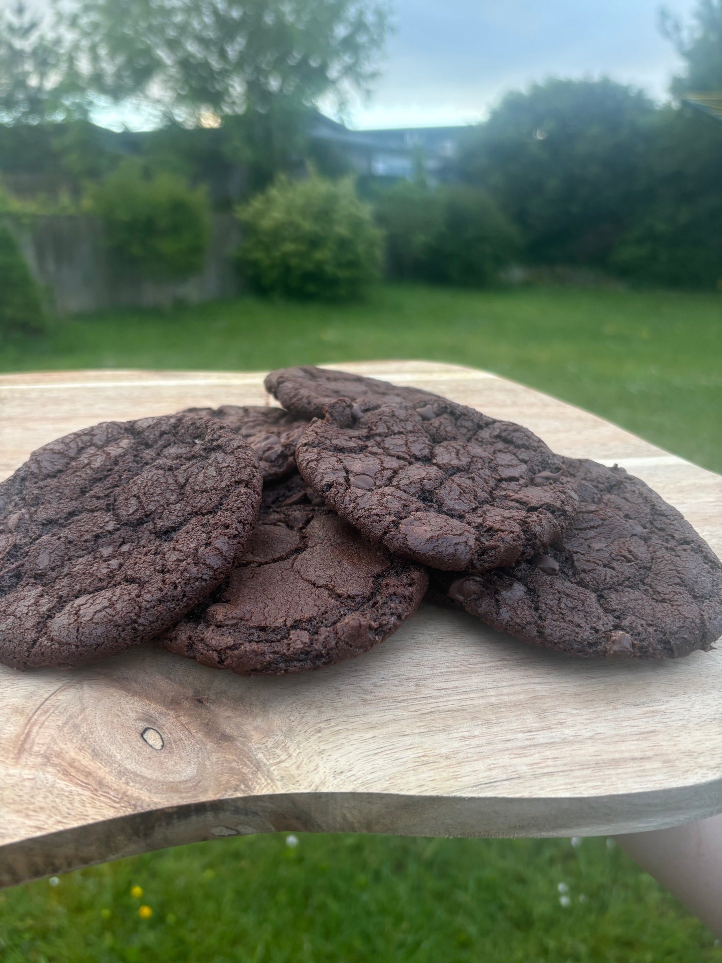Double Chocolate Cookie